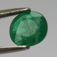 Ccm 3