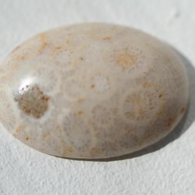 Corail [18.89 ct]